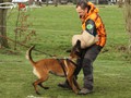 ricci-vd-lausbuben13