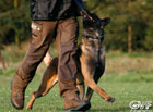onze reuen