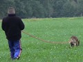 speuren (2)